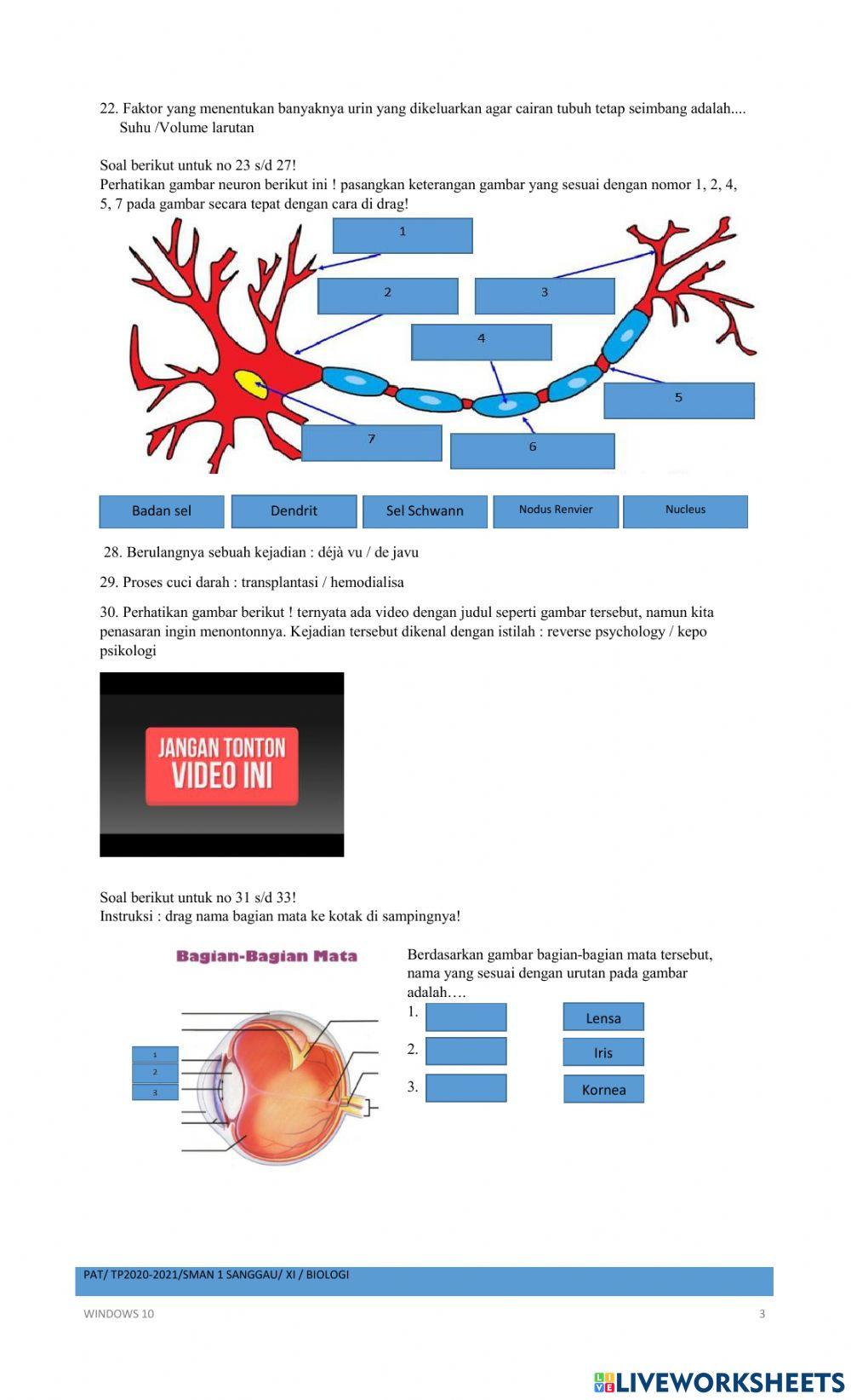 Pat biologi 2020-2021