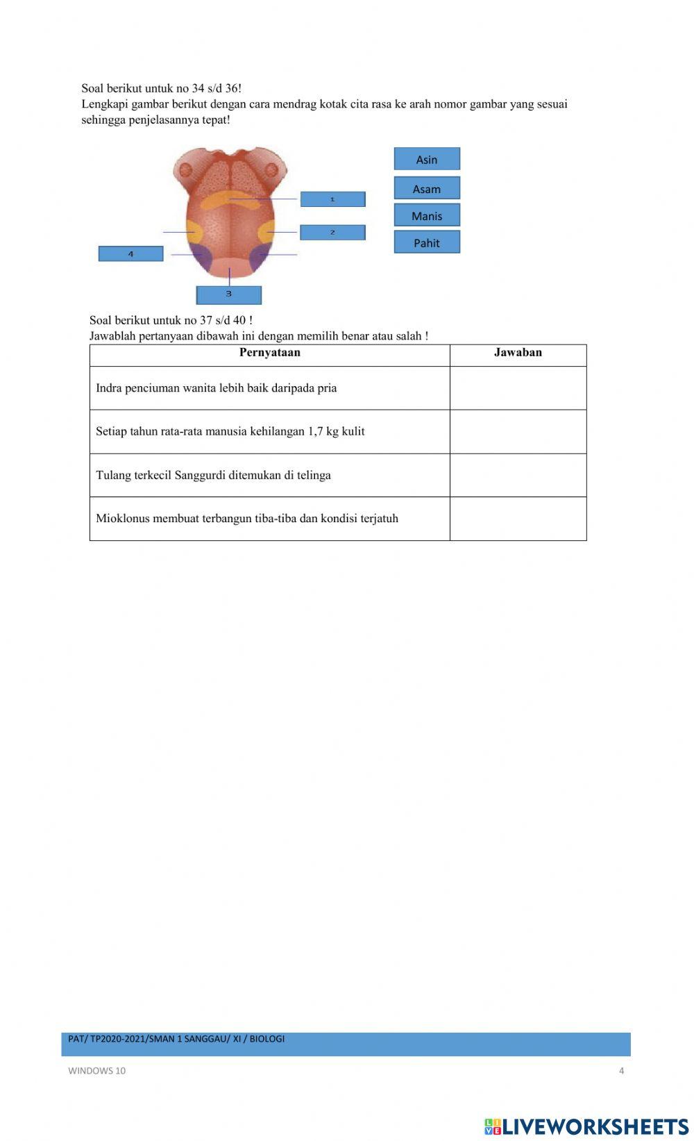 Pat biologi 2020-2021