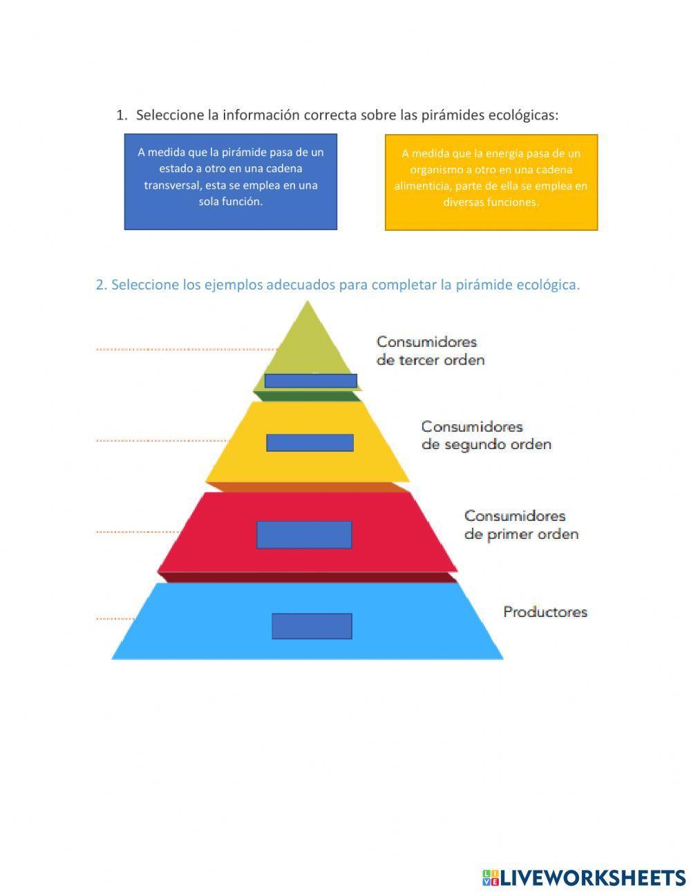 Pirámides Eco-logicas