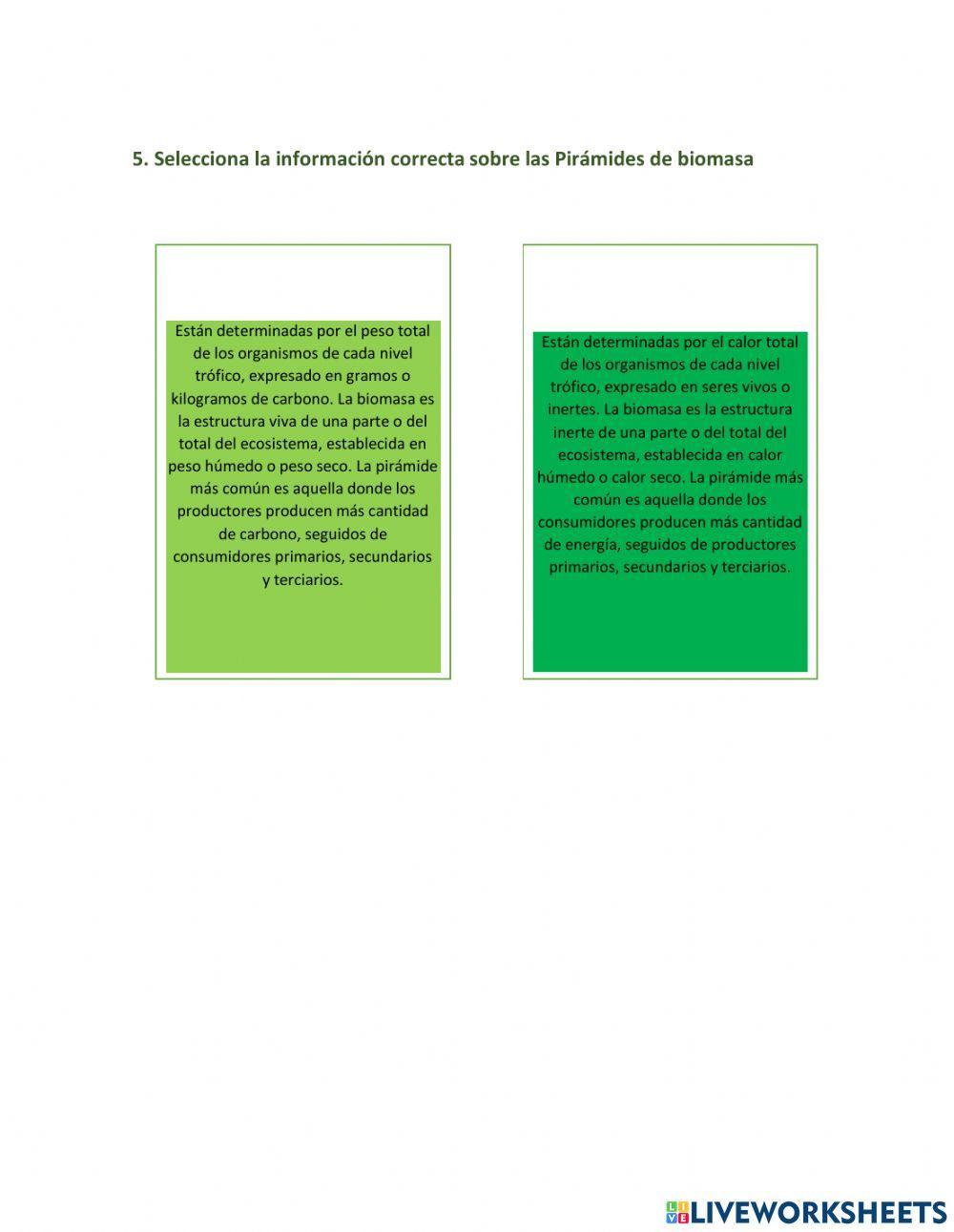 Pirámides Eco-logicas