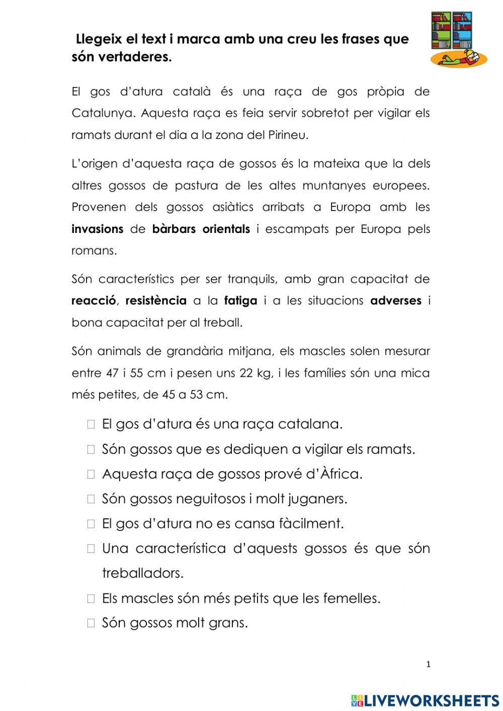 Comprensió text nº 2