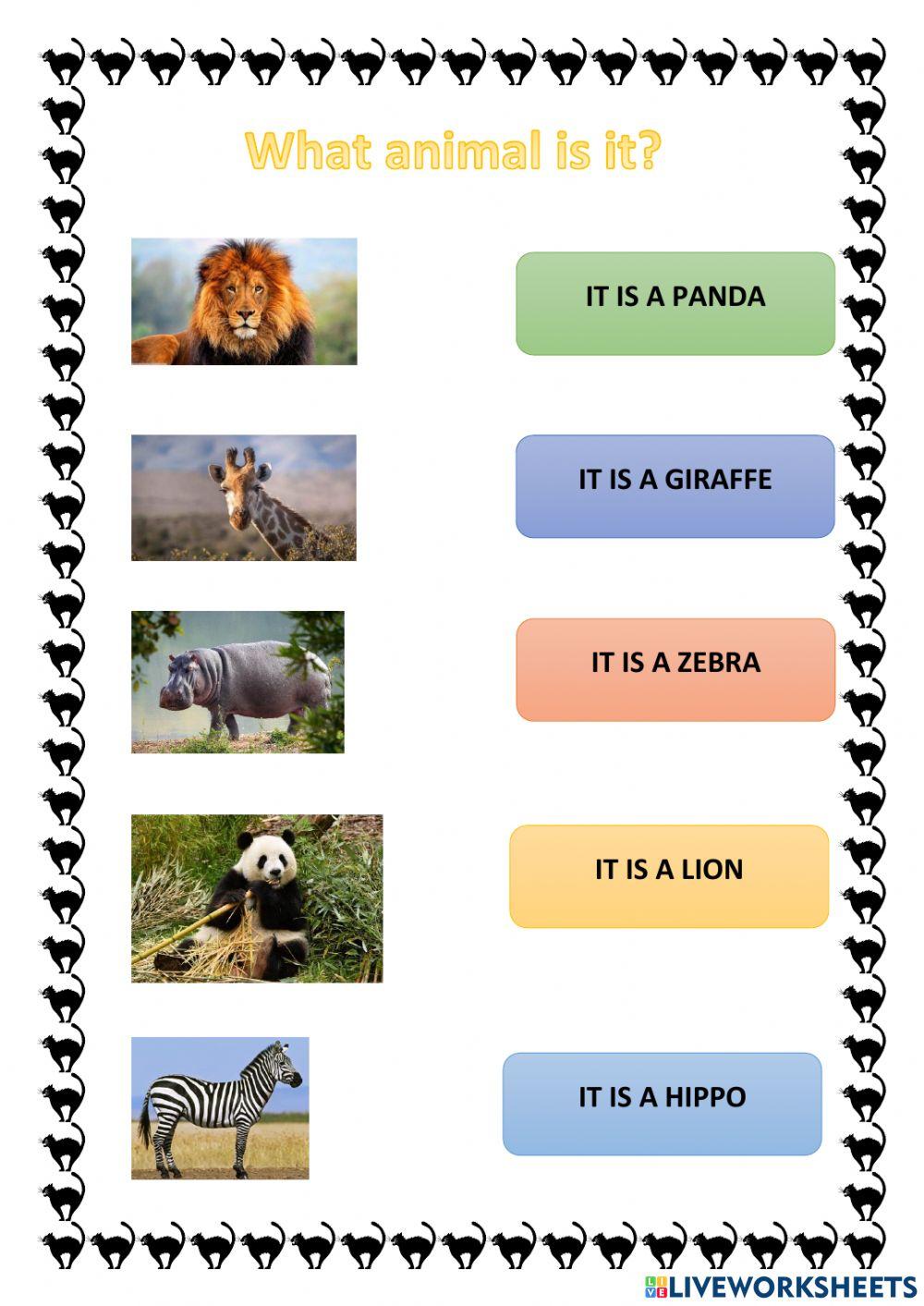 Wild animals Wild animals