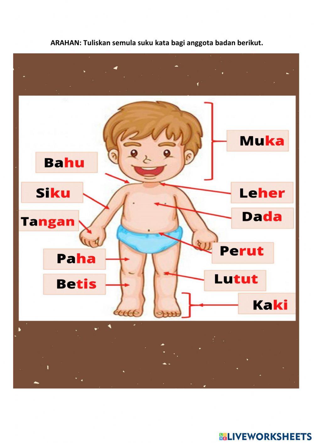 Suku kata (anggota badan)