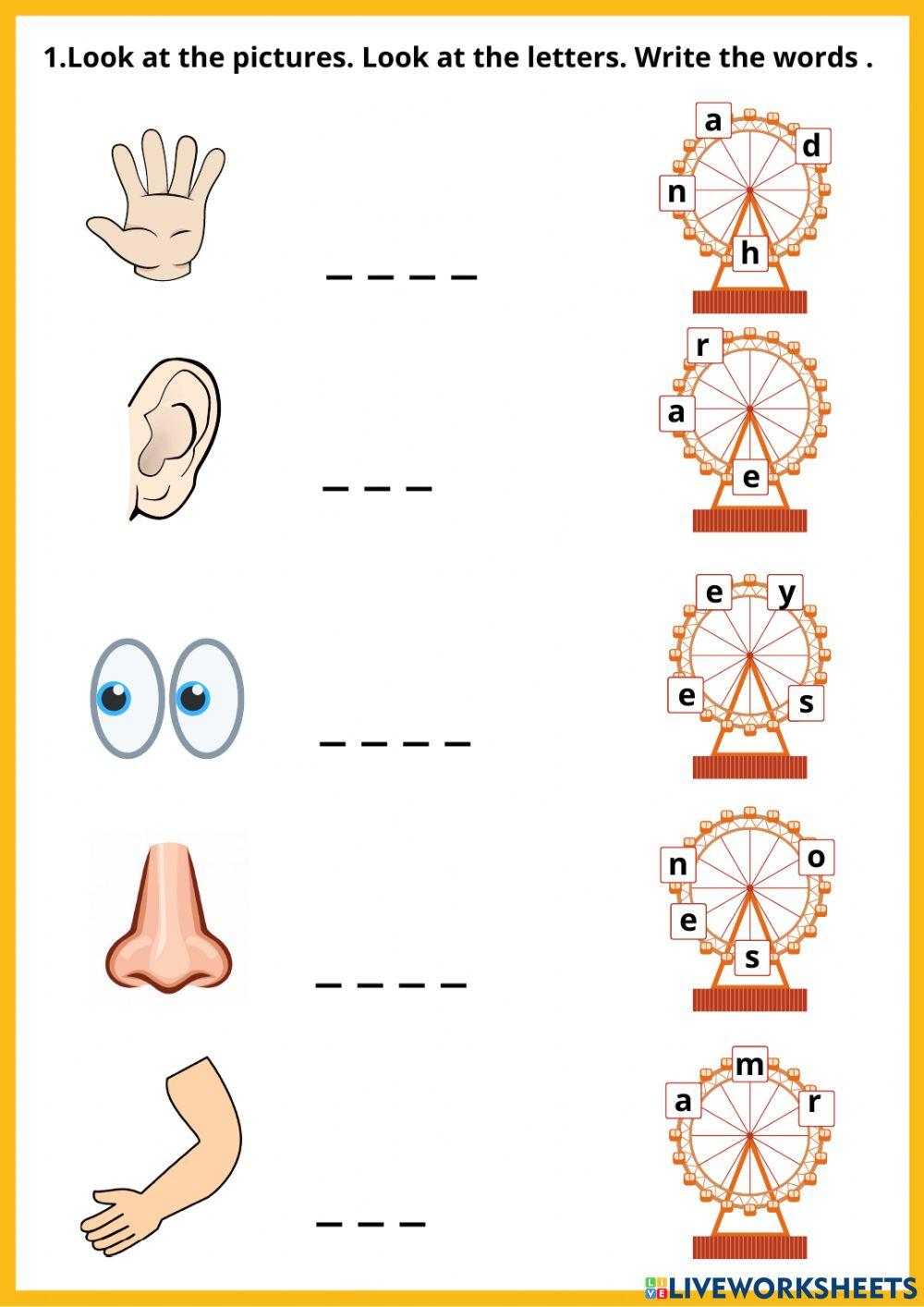 WRITING BODY PARTS I