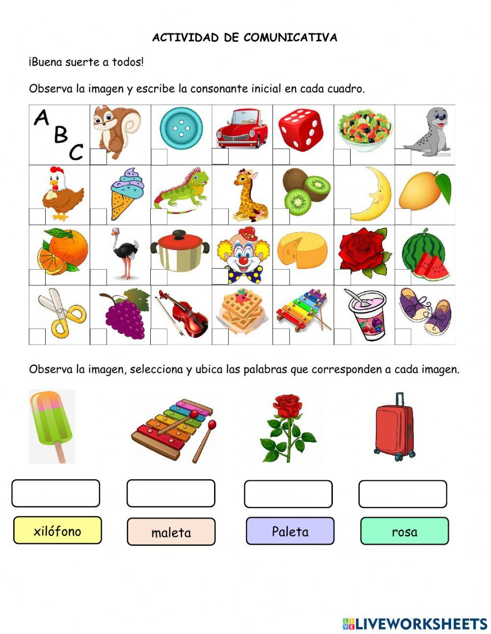 Actividad de comunicativa - 1