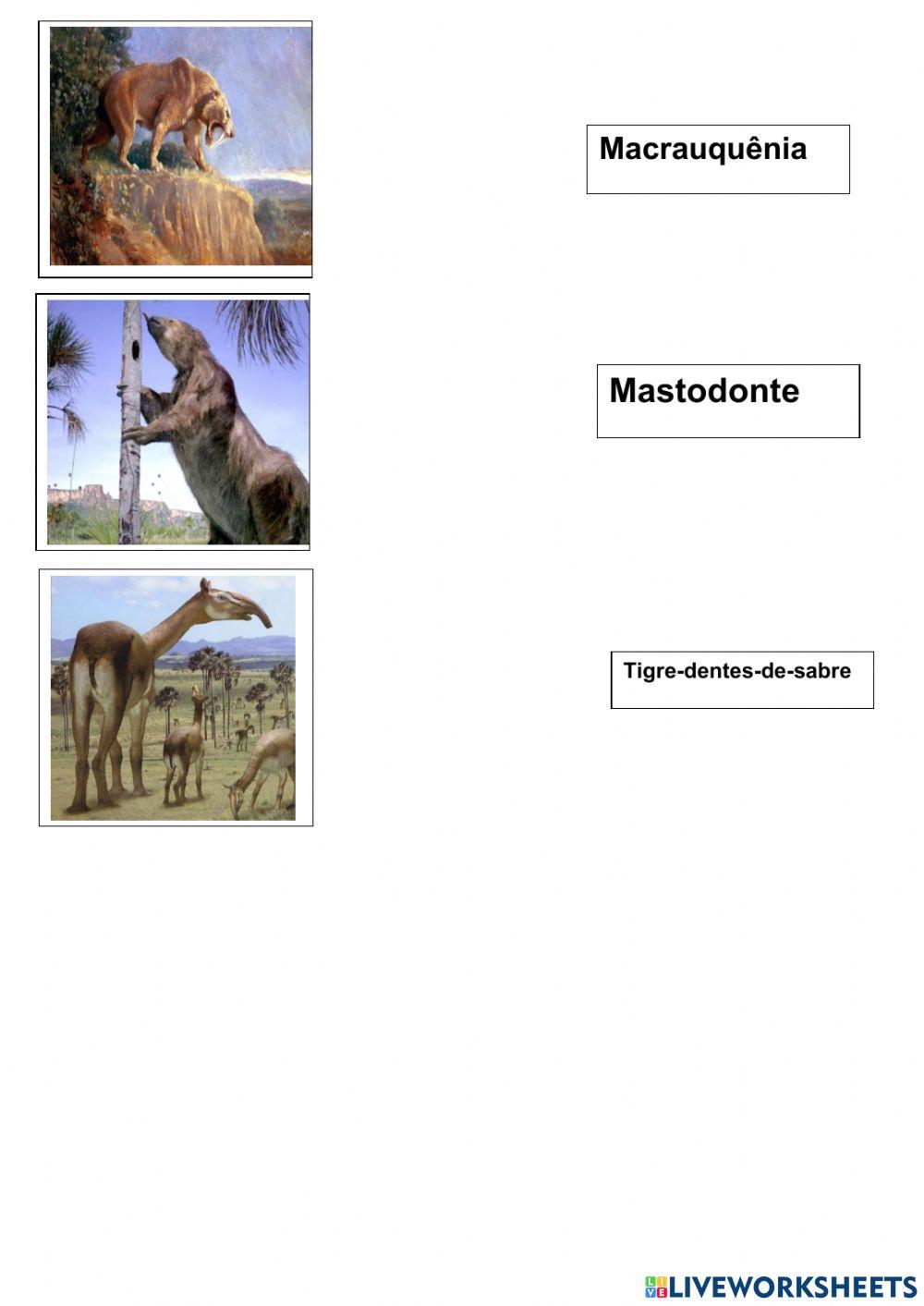 As rotas de chegada dos primeiros habitantes da América