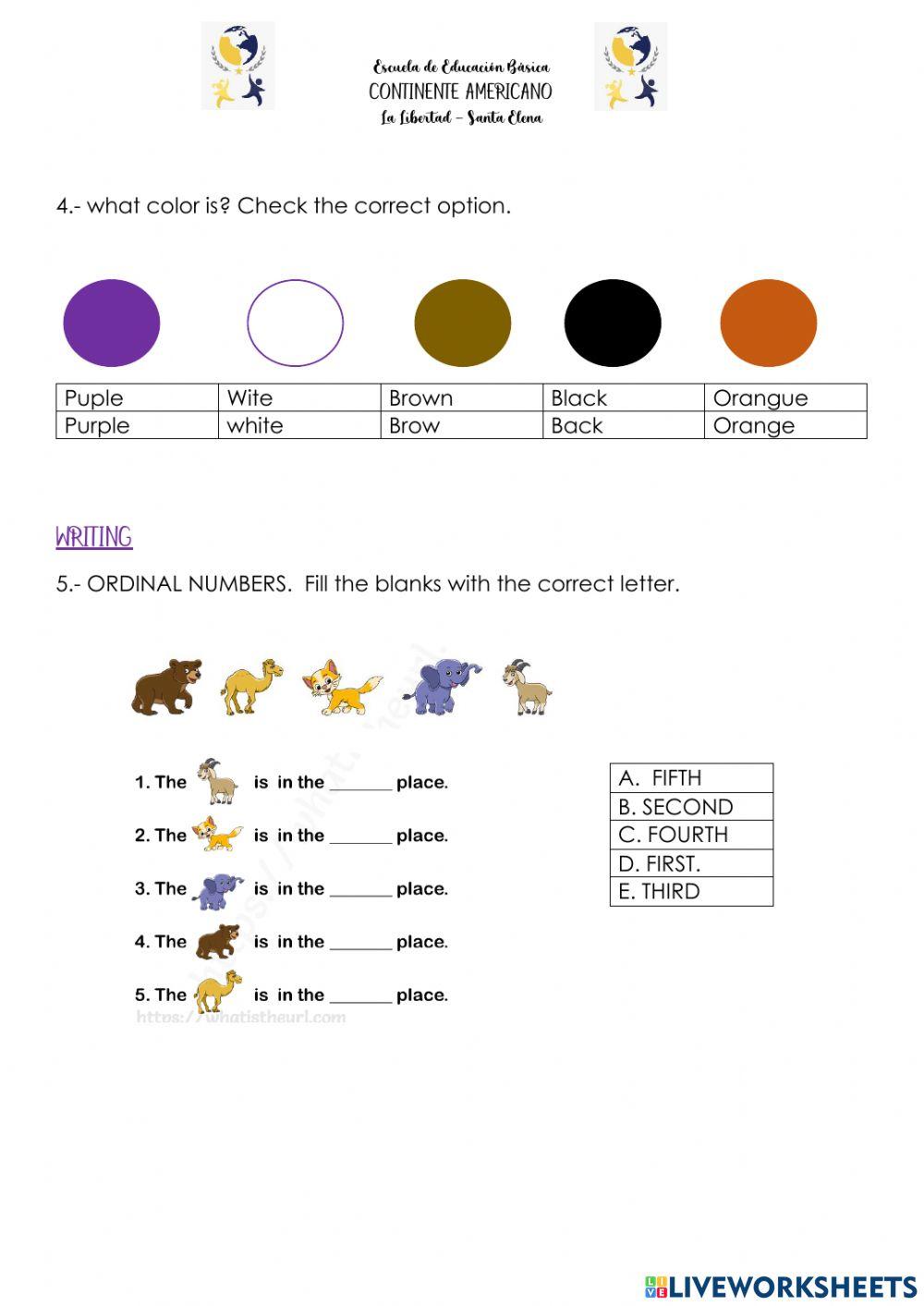 5th grade diagnostic test
