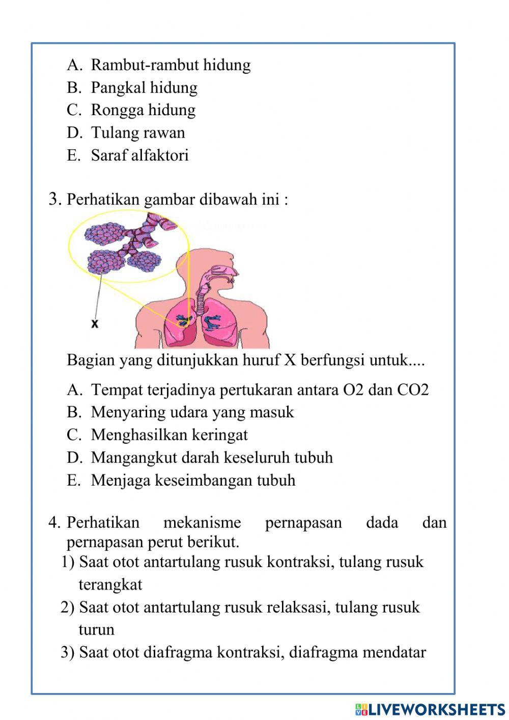 Posttest pertemuan 1