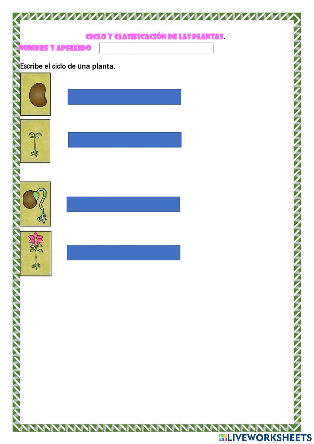 Clasificación y ciclo de las plantas