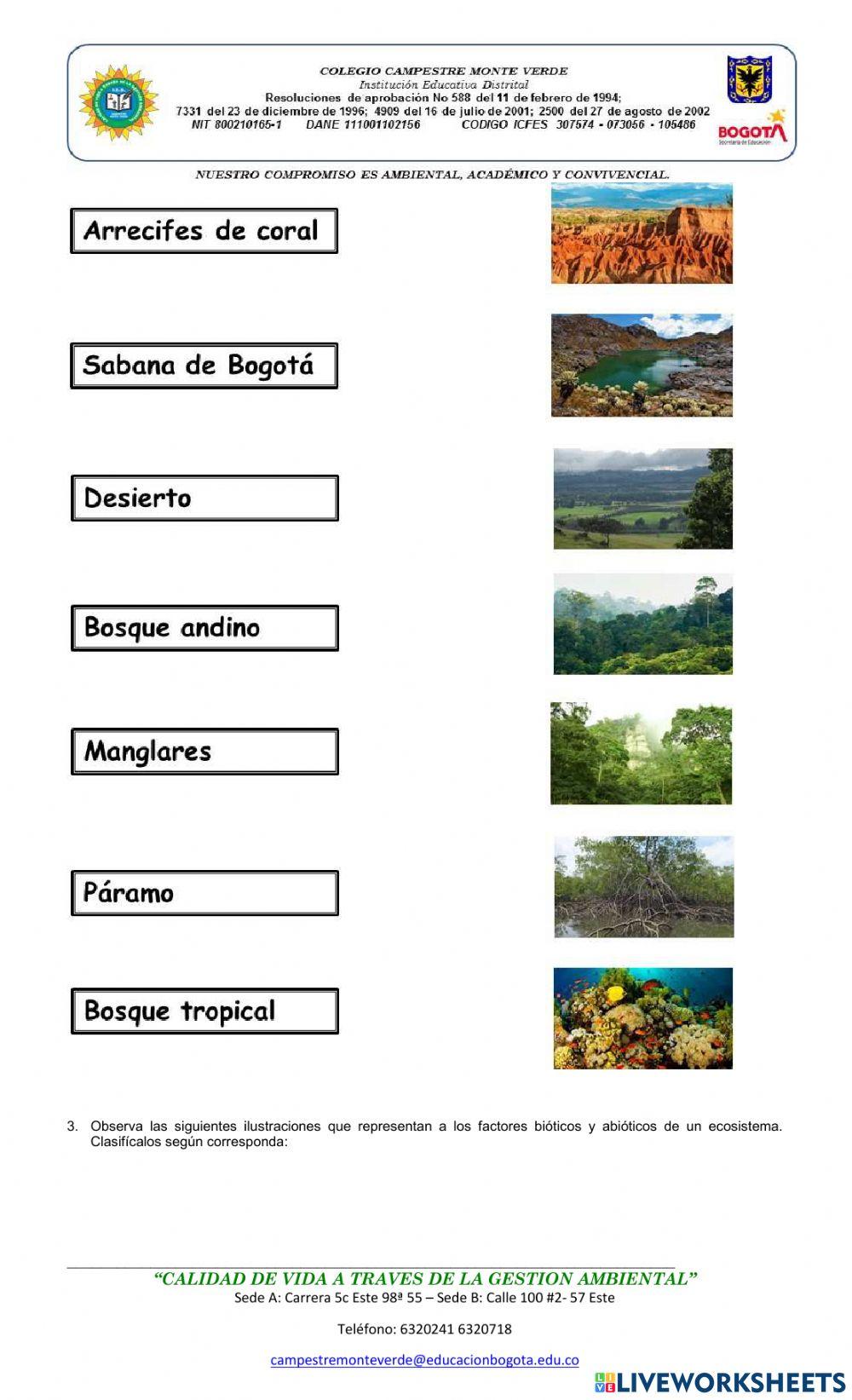 Dia mundial del ambiente