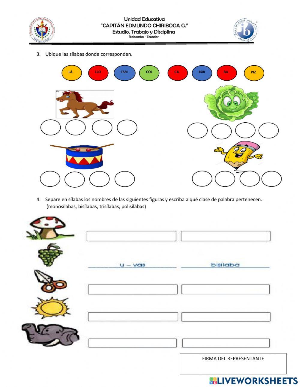 División de palabras en sílabas