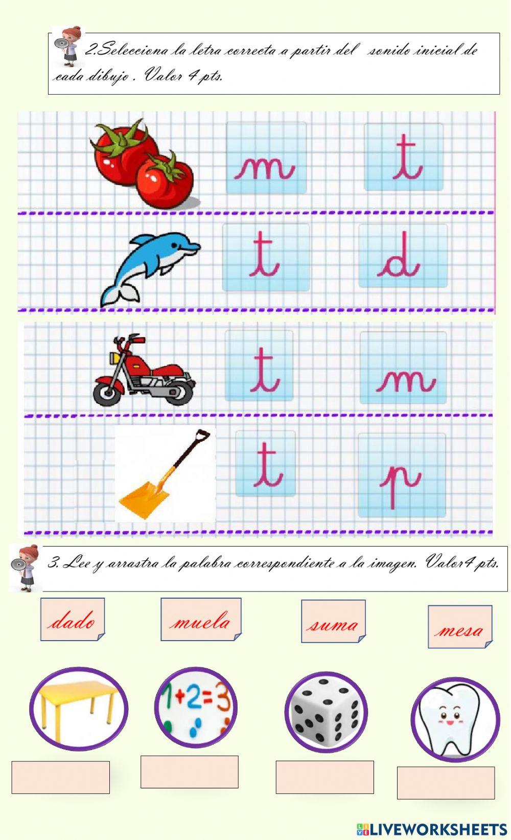 Conocimientos  de español
