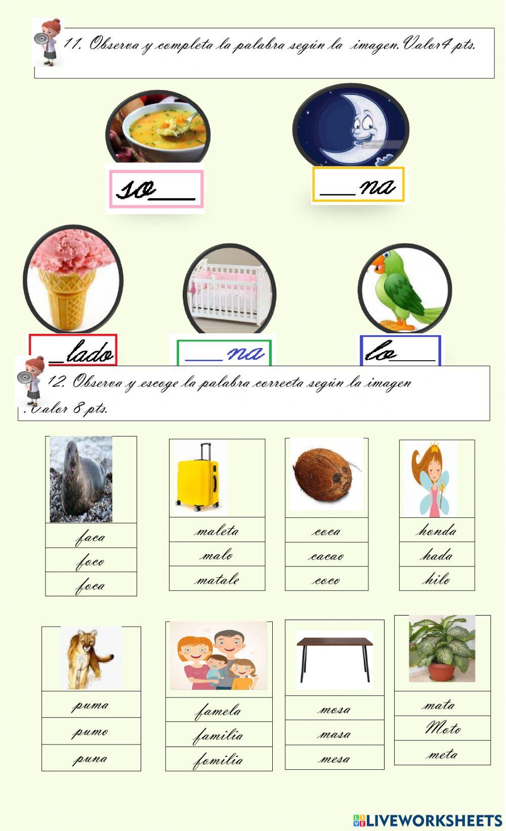 Conocimientos  de español
