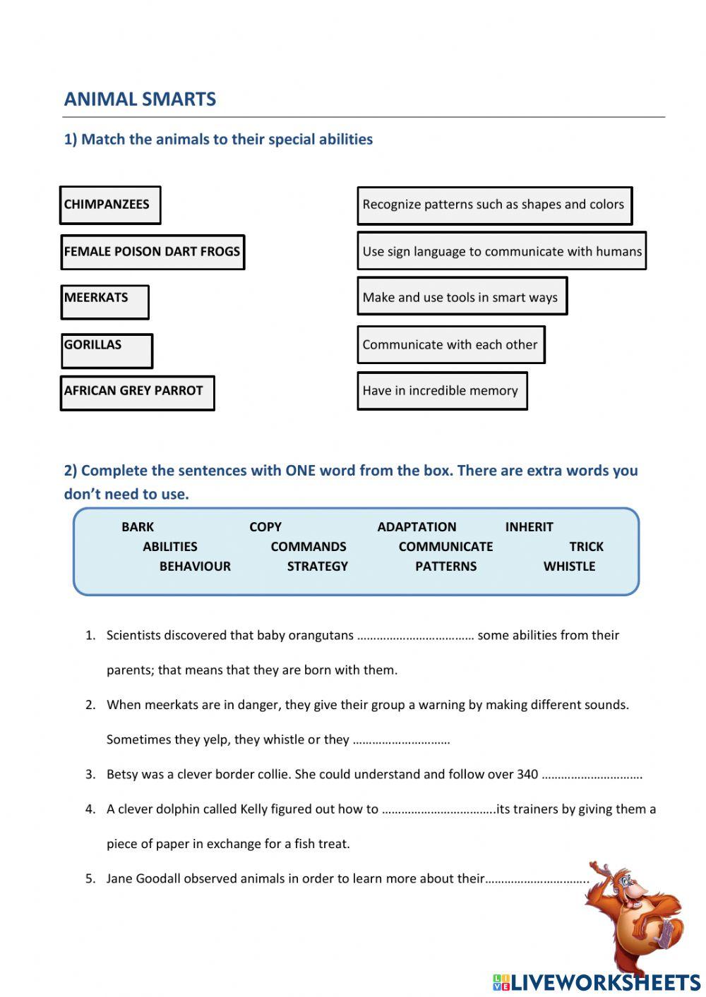Global Perspectives Test