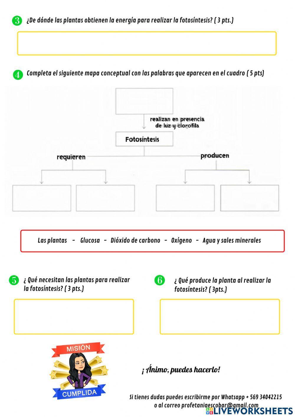 Guía N° 9- Proceso de la Fotosíntesis