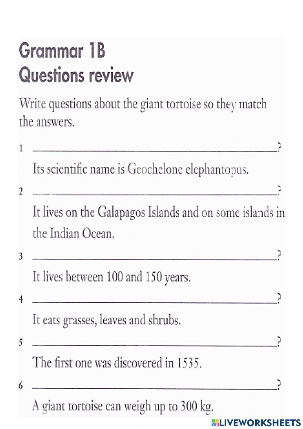 Questions review