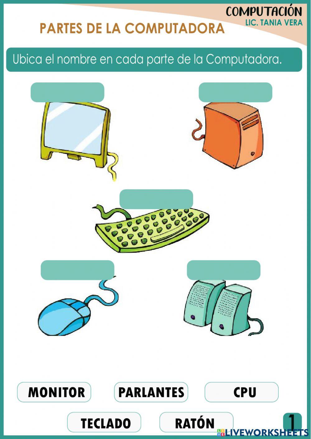 Partes de la computadora