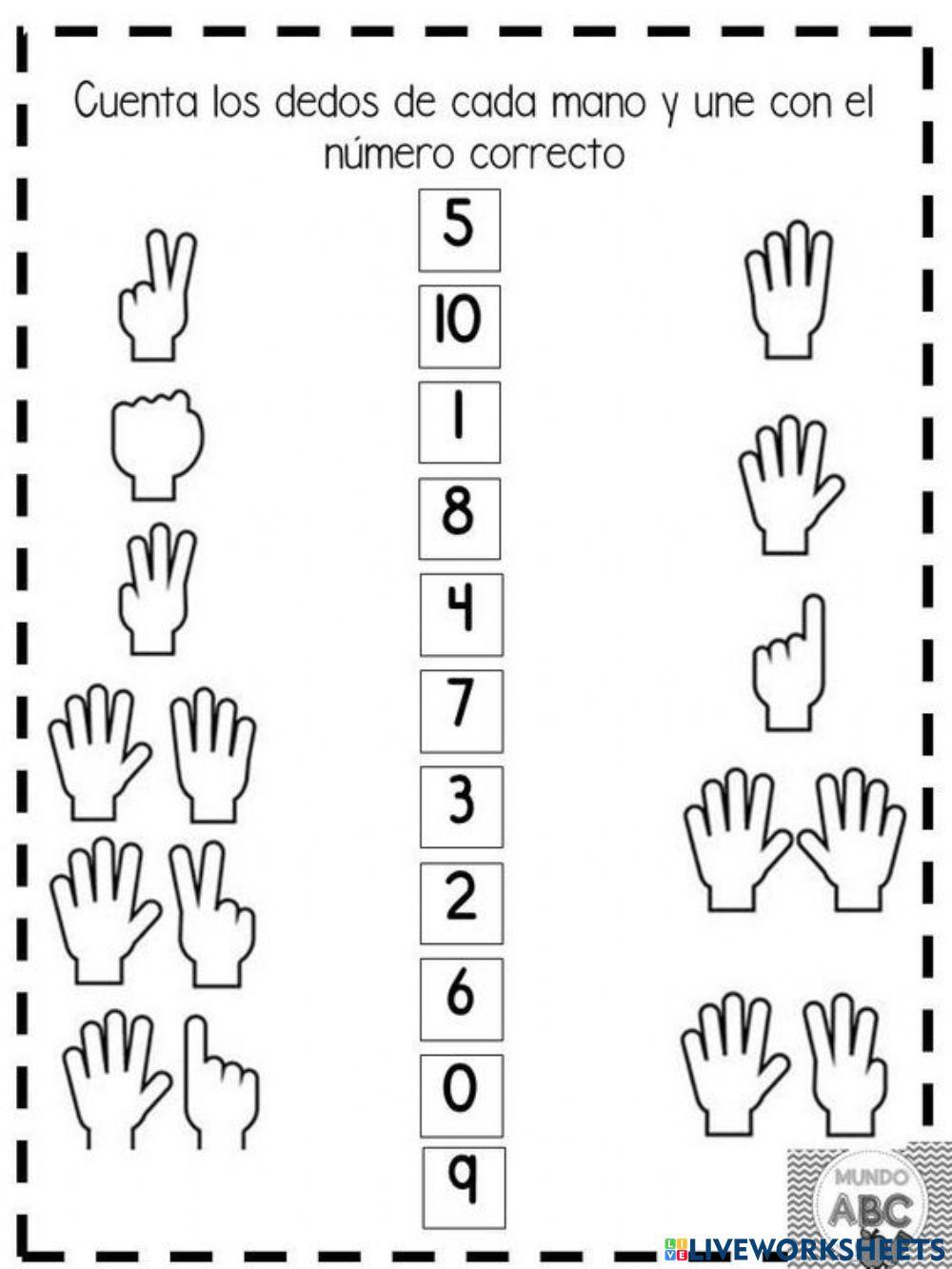 Relaciona numero Cantidad Relaciona numero Cantidad