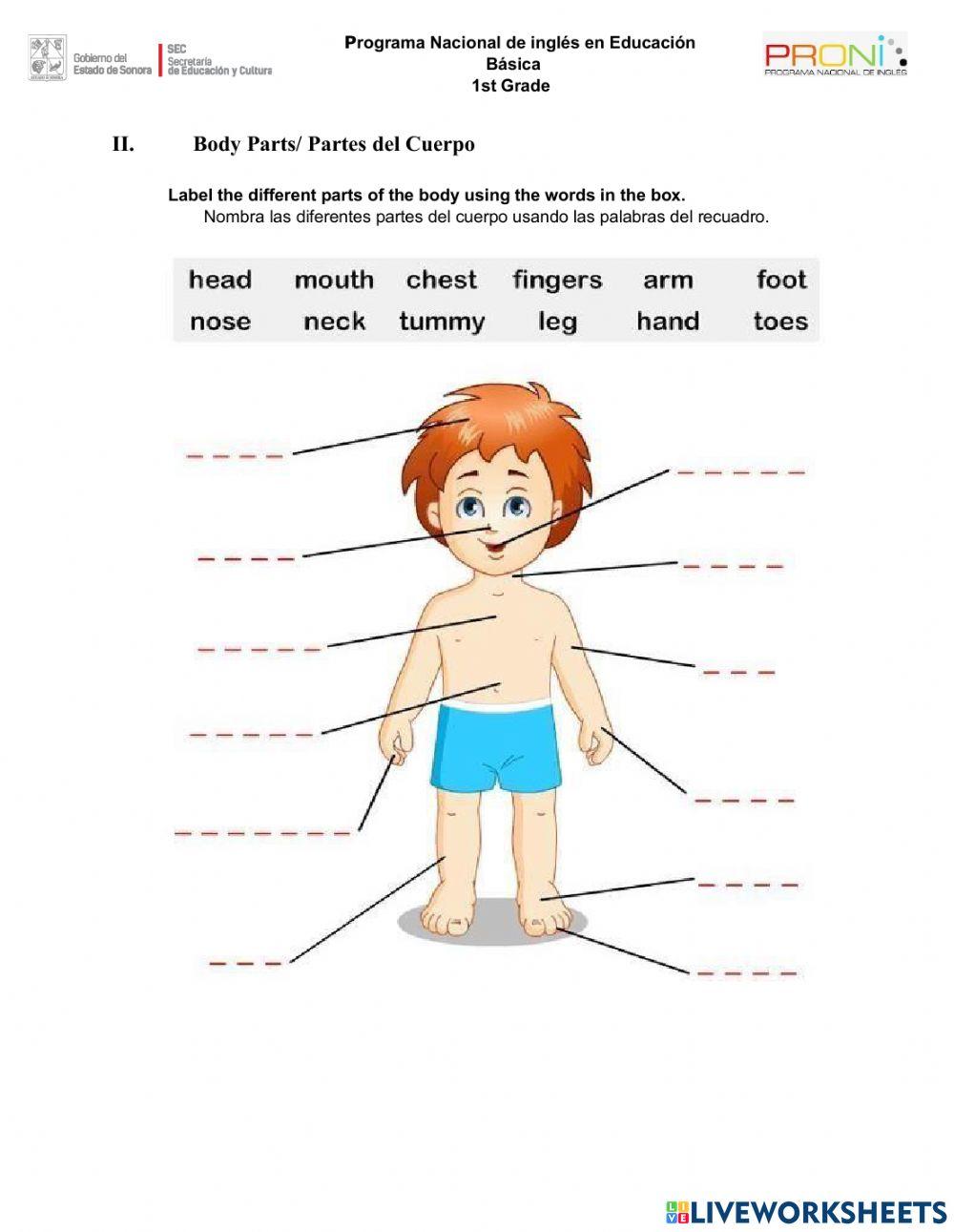 Final exam 1st GRADE