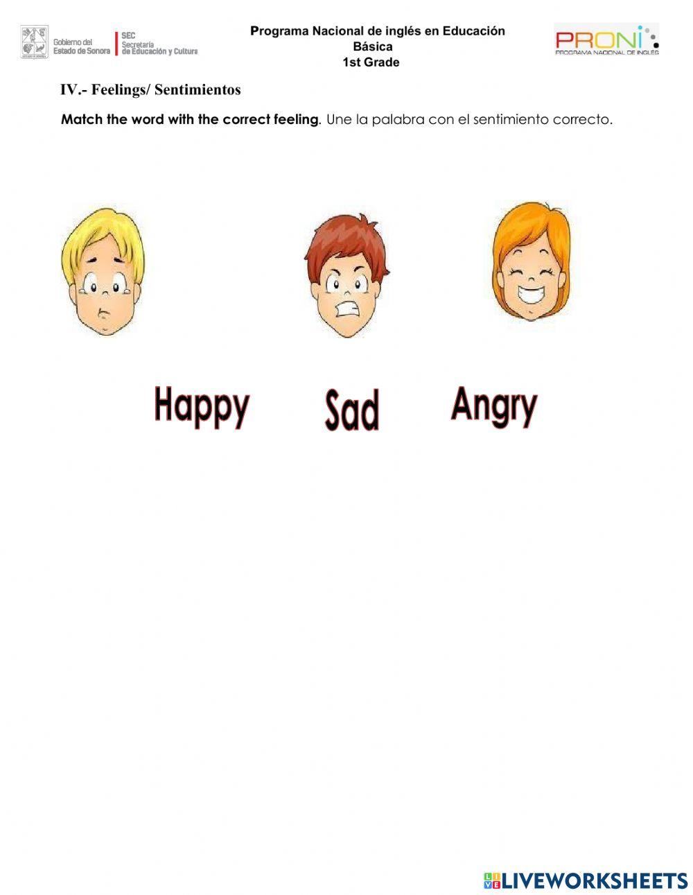 Final exam 1st GRADE