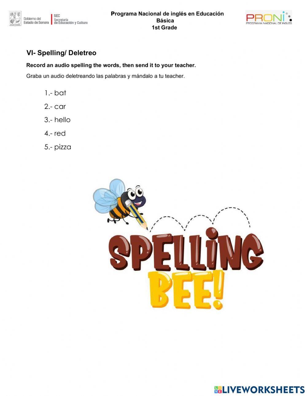 Final exam 1st GRADE