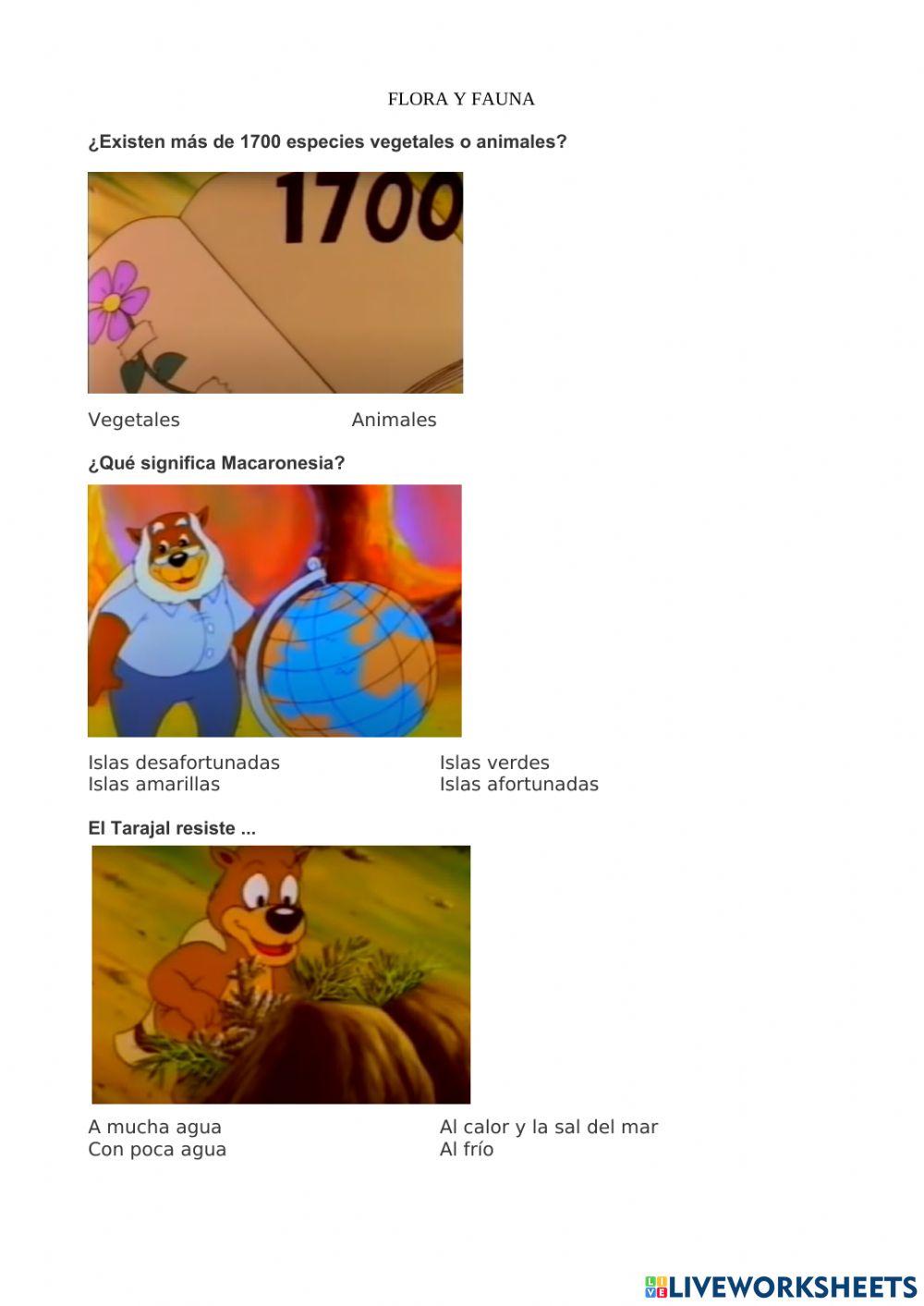 Flora y fauna Canarias