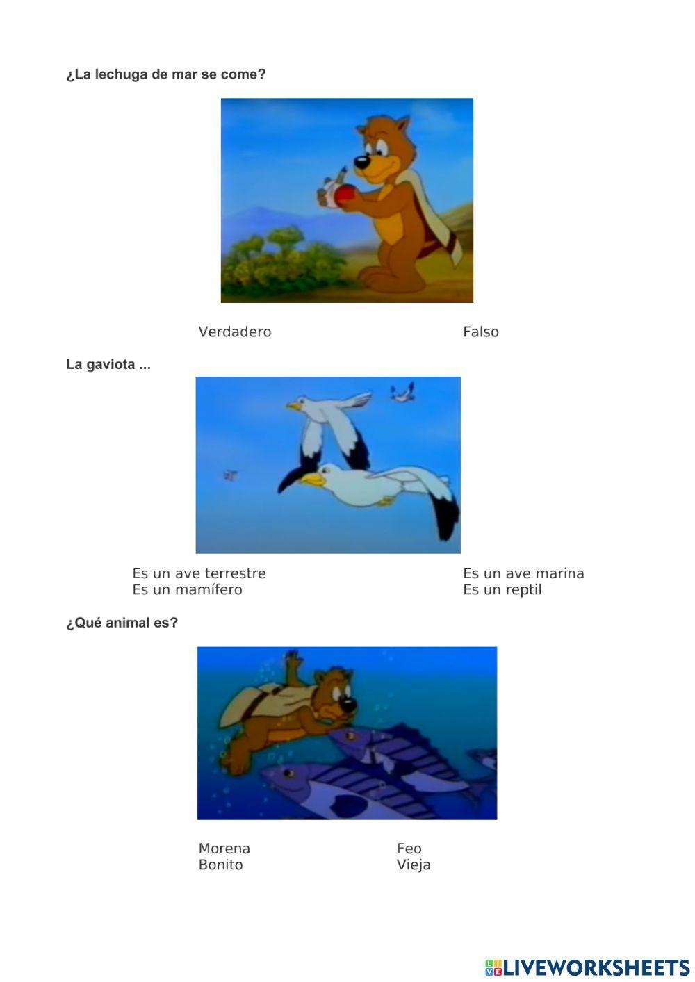 Flora y fauna Canarias