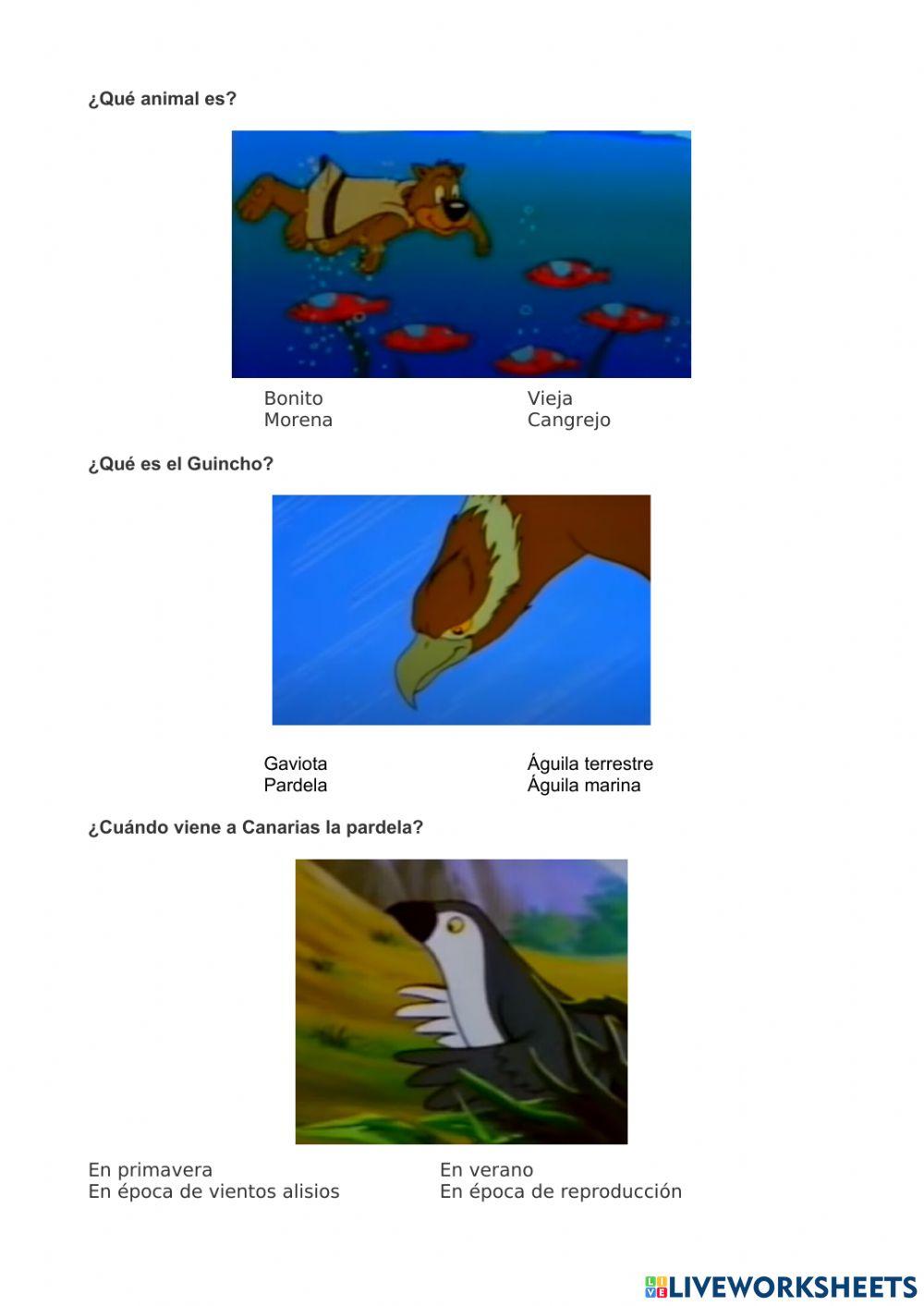 Flora y fauna Canarias