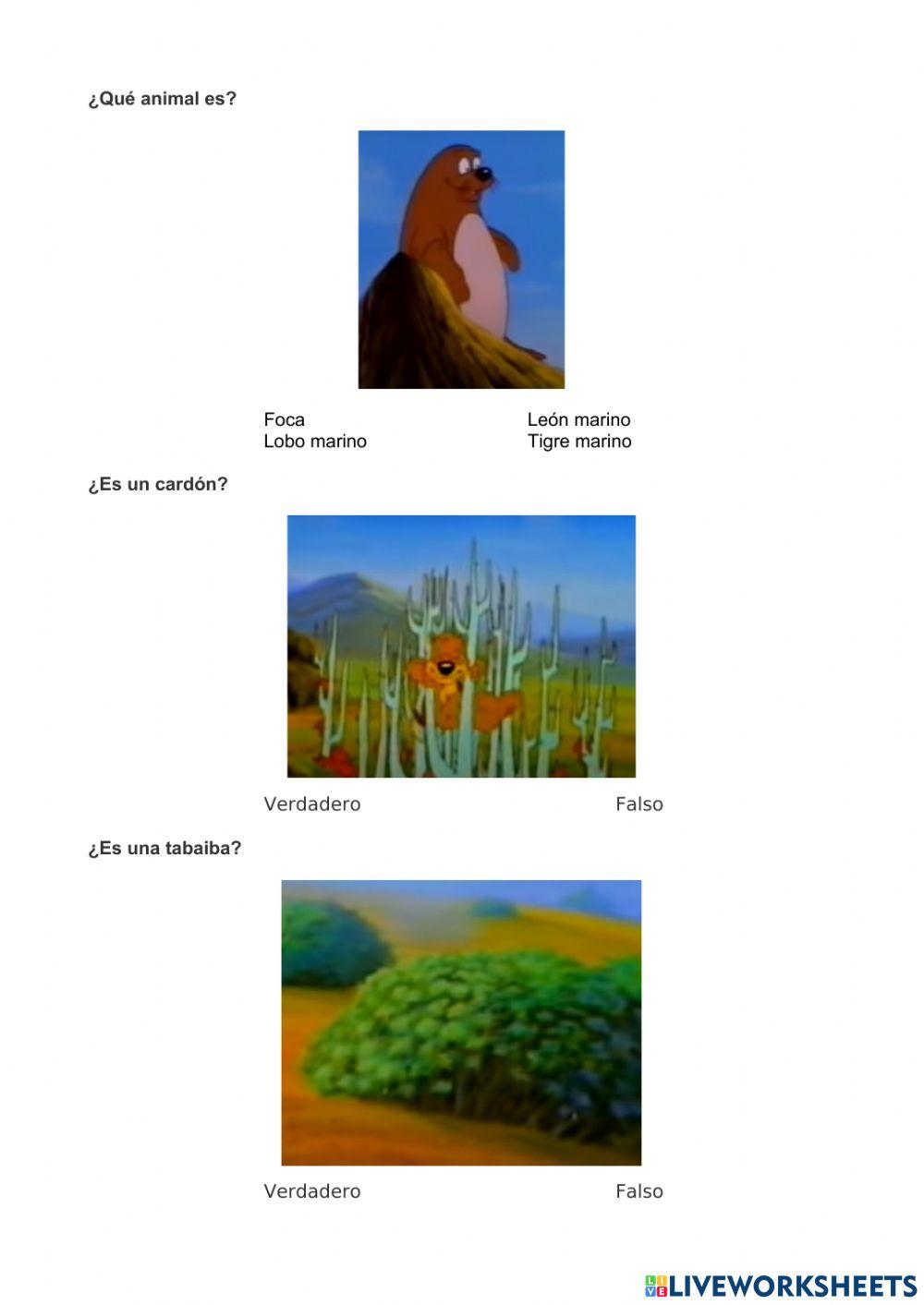 Flora y fauna Canarias