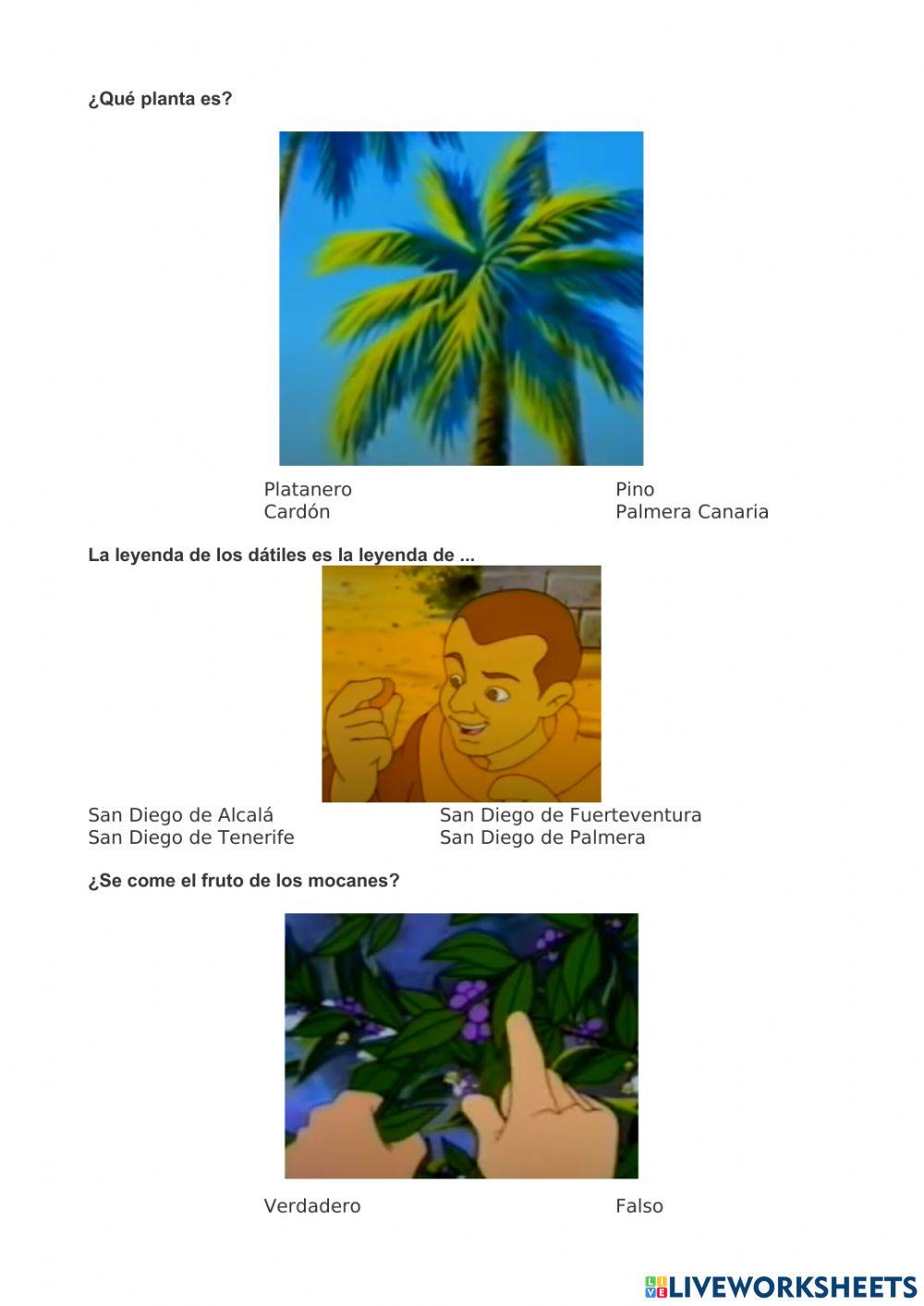 Flora y fauna Canarias