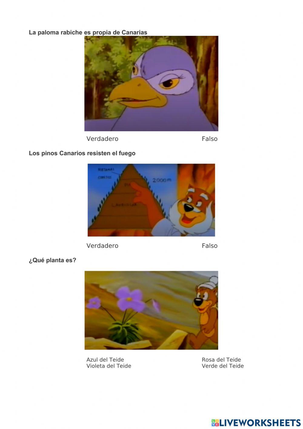 Flora y fauna Canarias