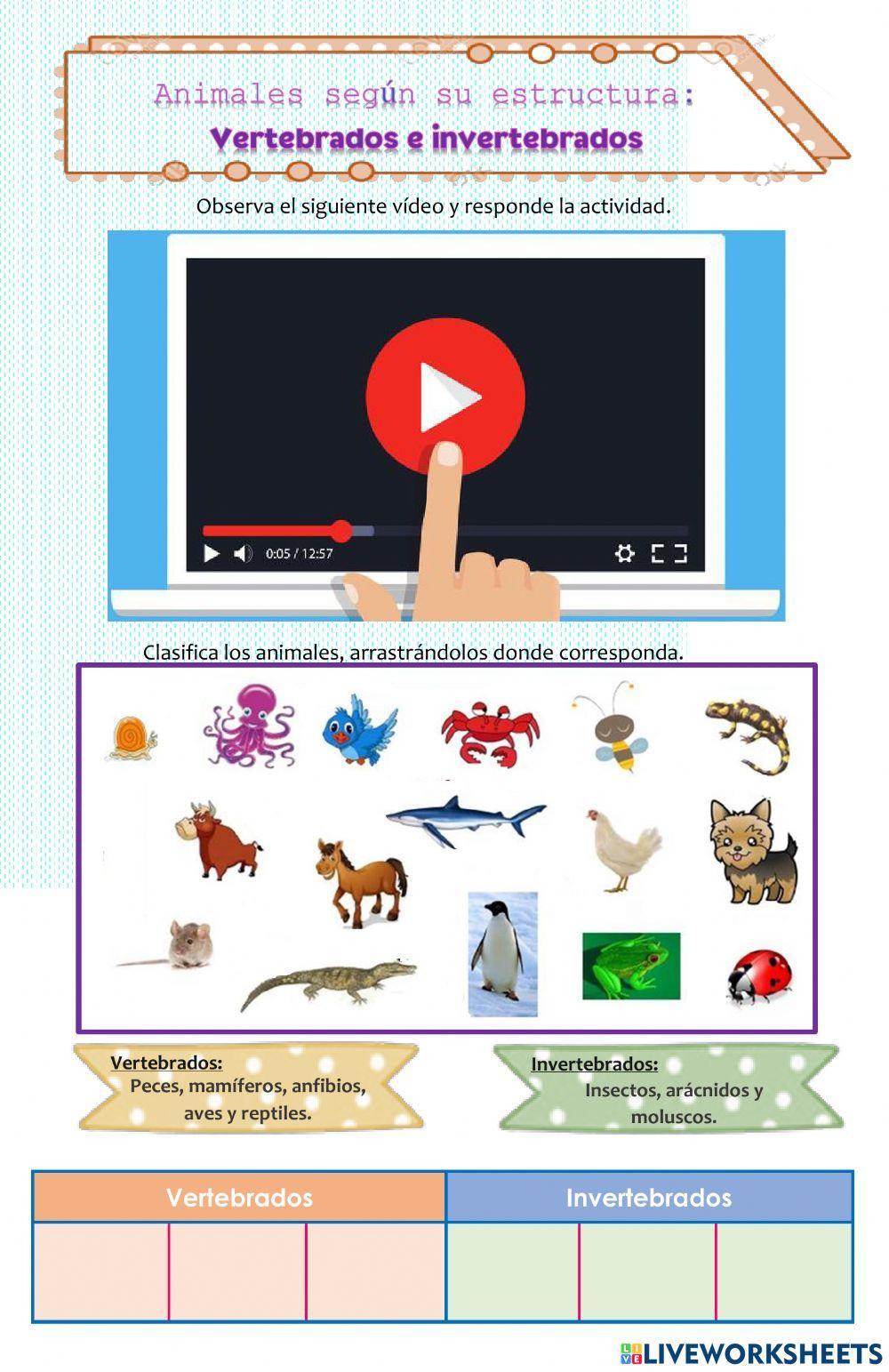 Animales según su estructura