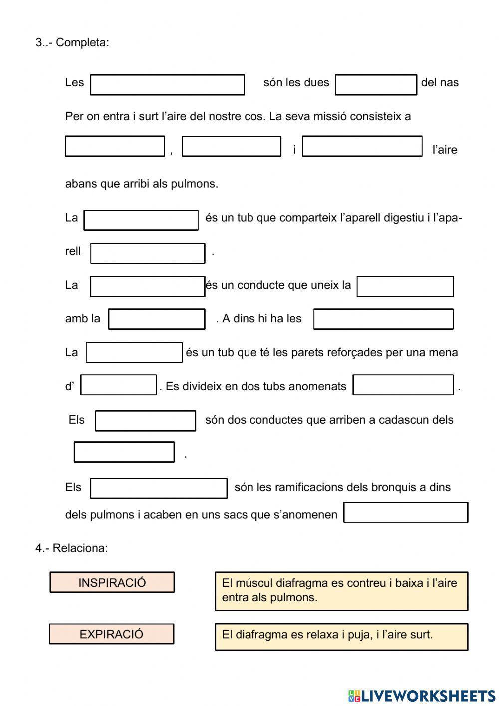La funció de nutrició La funció de nutrició