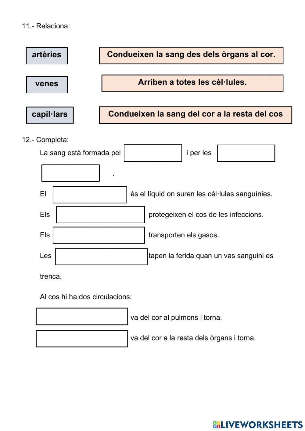La funció de nutrició La funció de nutrició