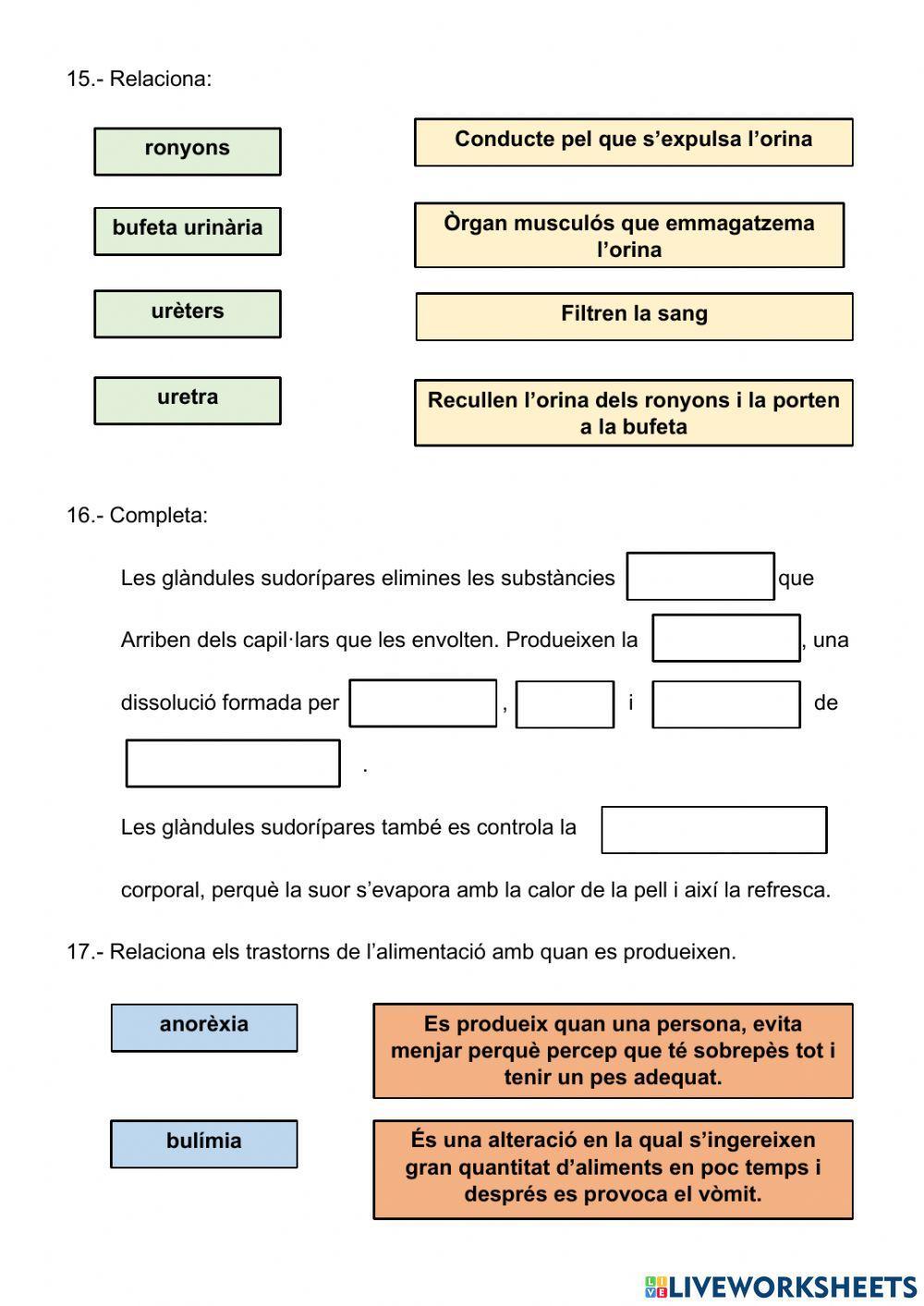 La funció de nutrició La funció de nutrició