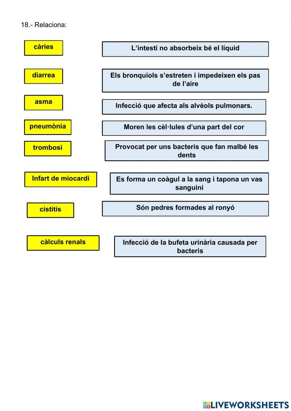 La funció de nutrició La funció de nutrició