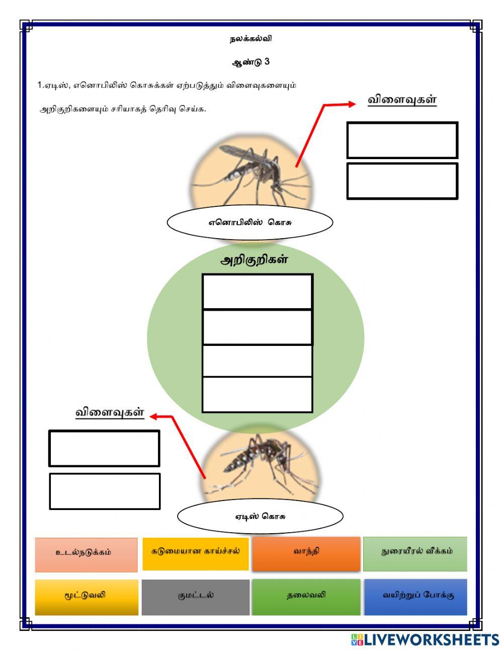 கொசுவை ஒழிப்போம்