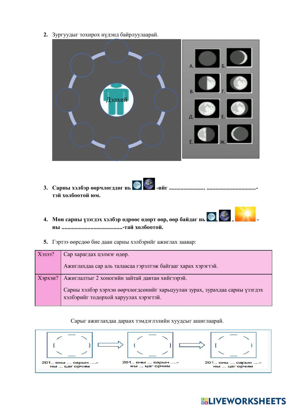 Сарны хэлбэр, мөчлөг