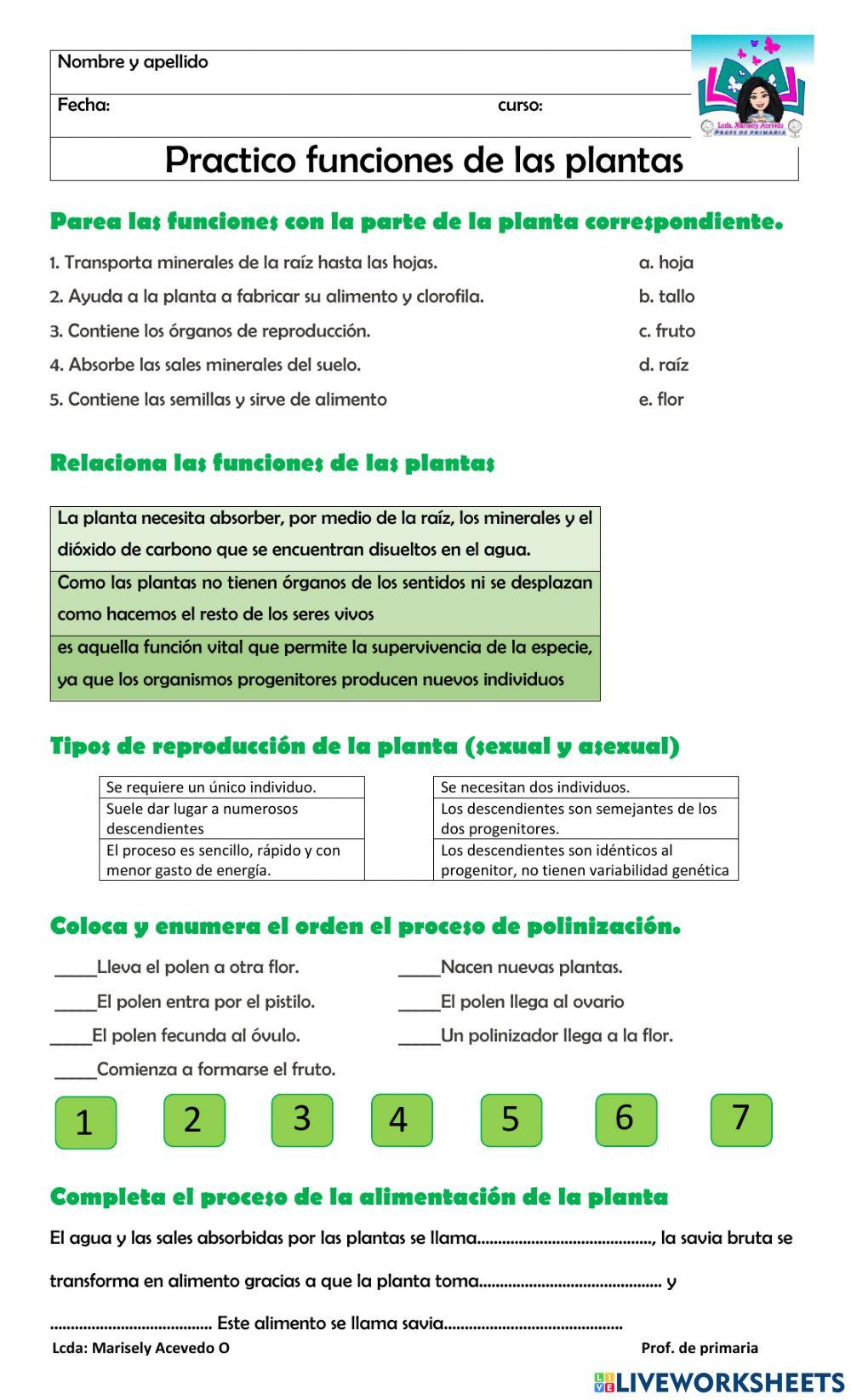 Funcion de las plantas