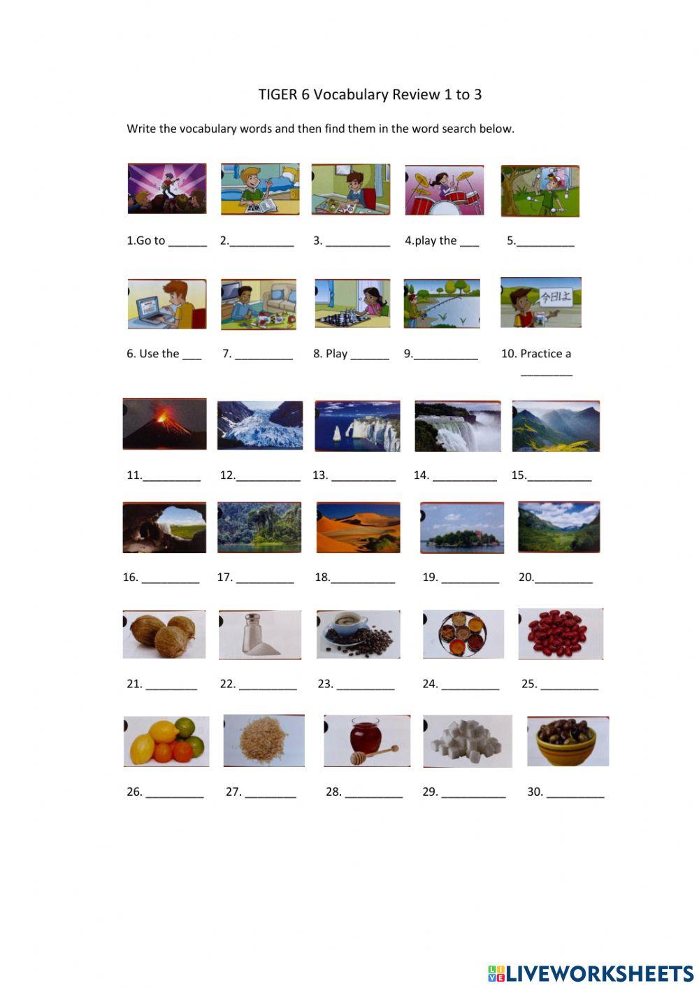 Tiger 6 Vocabulary Review 1 to 3