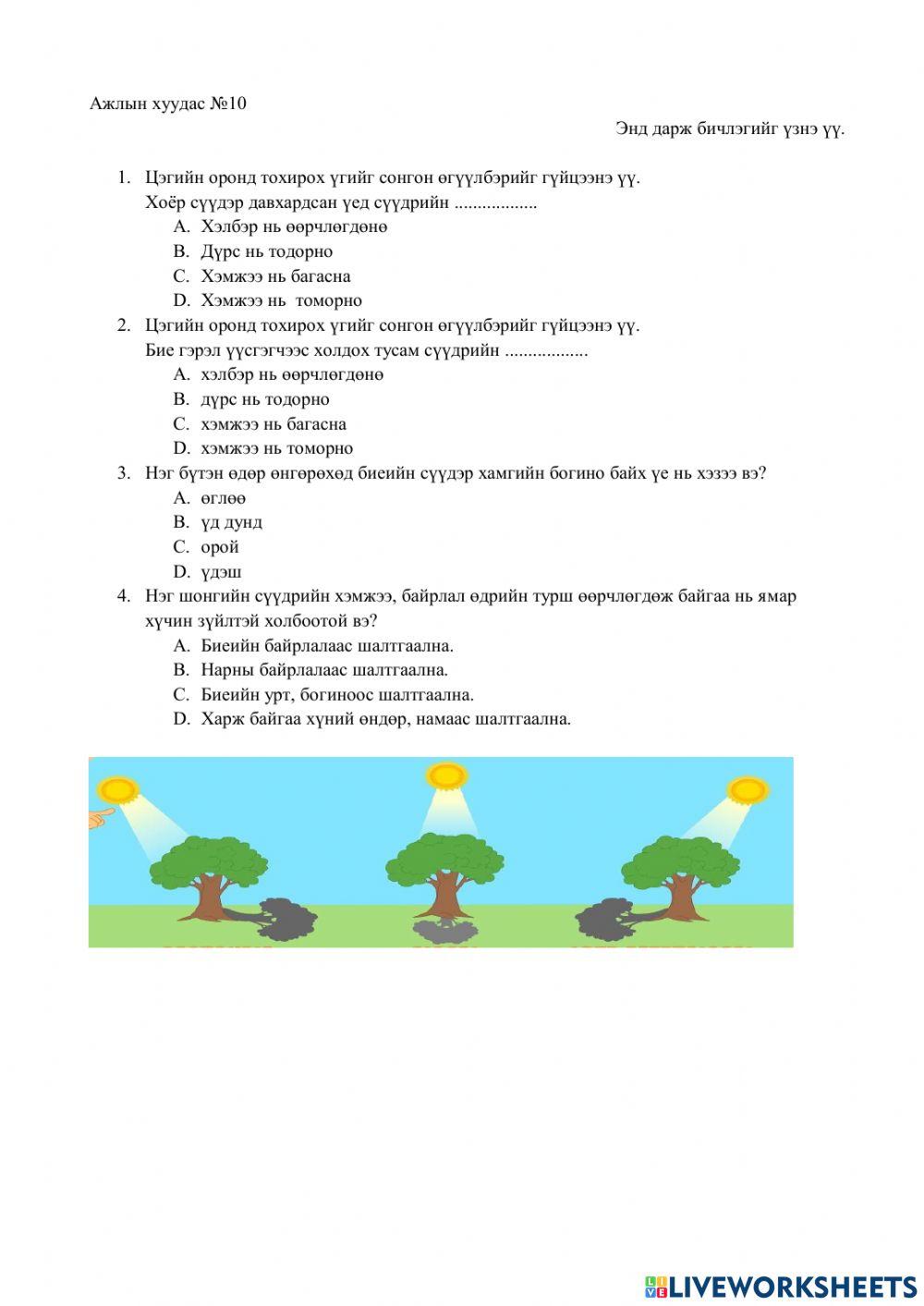 Өдрийн цагаар сүүдрийн урт болон байрлалын өөрчлөлт