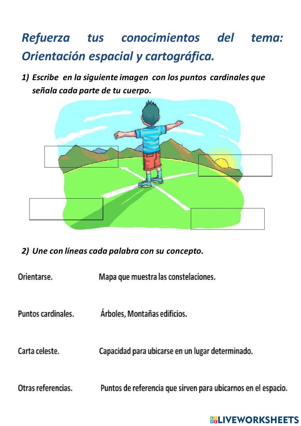 Orientación espacial