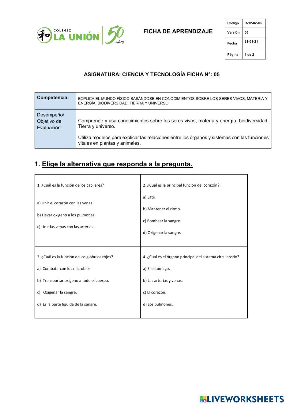 Sistema circulatorio