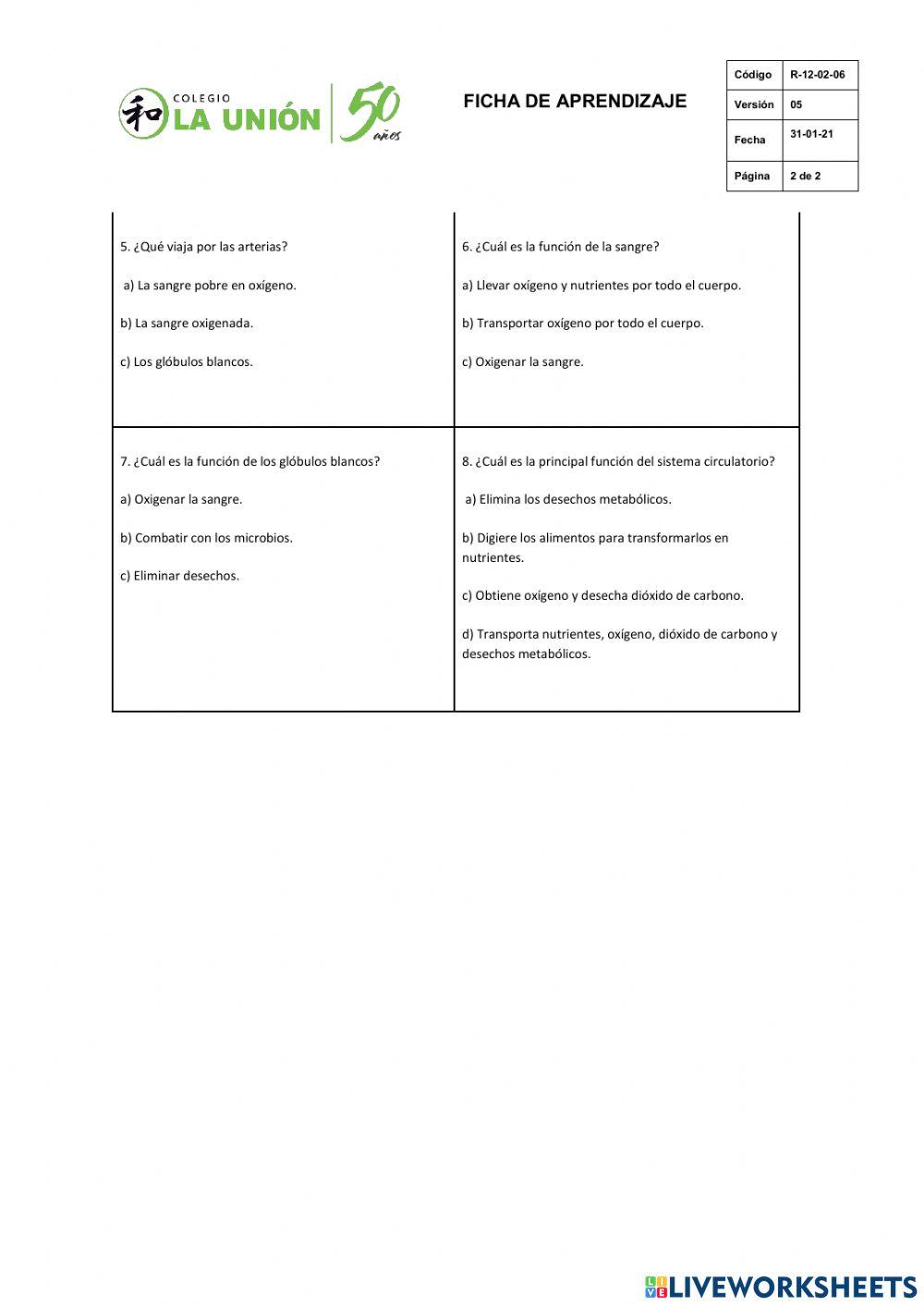 Sistema circulatorio