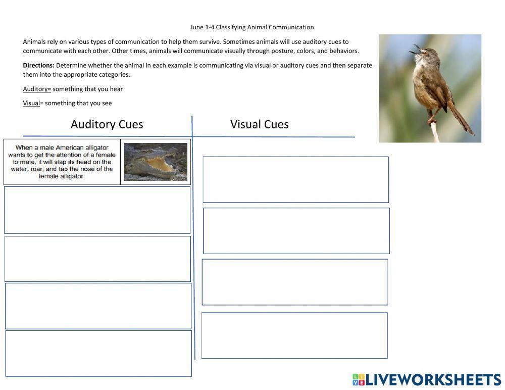 June 1-4 Classifying Animal Communication
