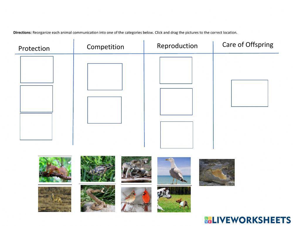 June 1-4 Classifying Animal Communication