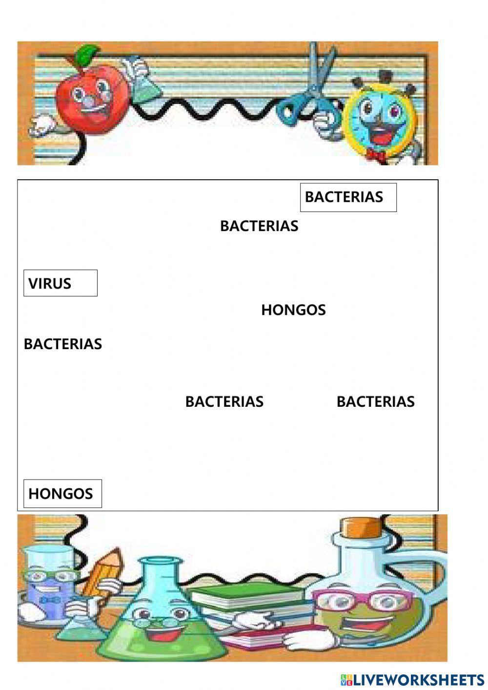 Microorganismos