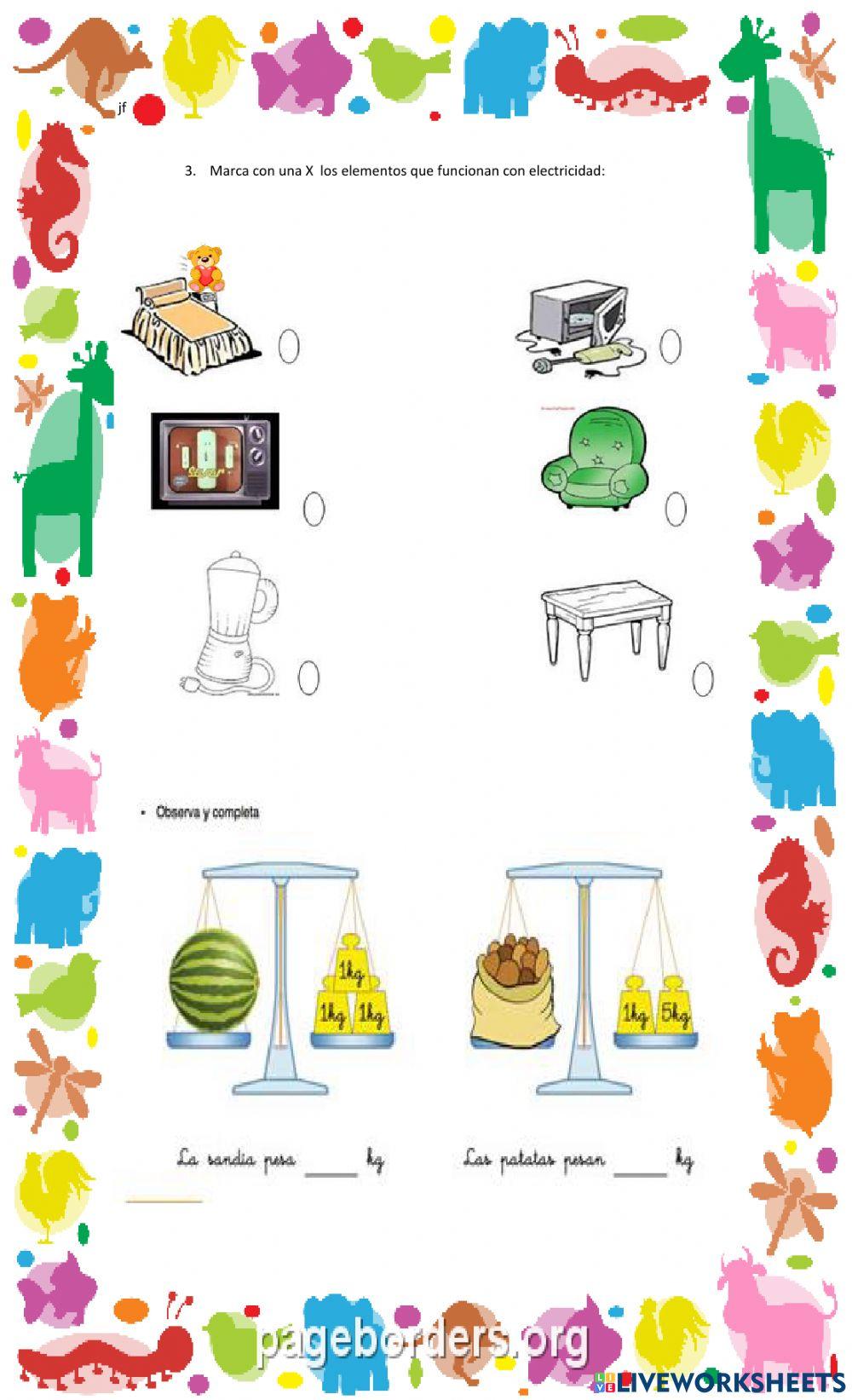 Evaluación de ciencias