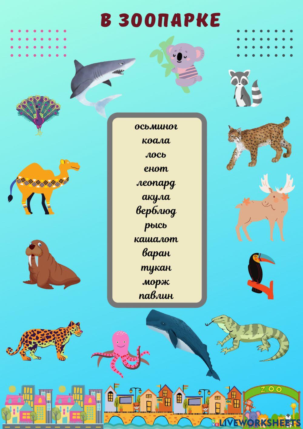 Зоопарк. Кого я видел? В.п.
