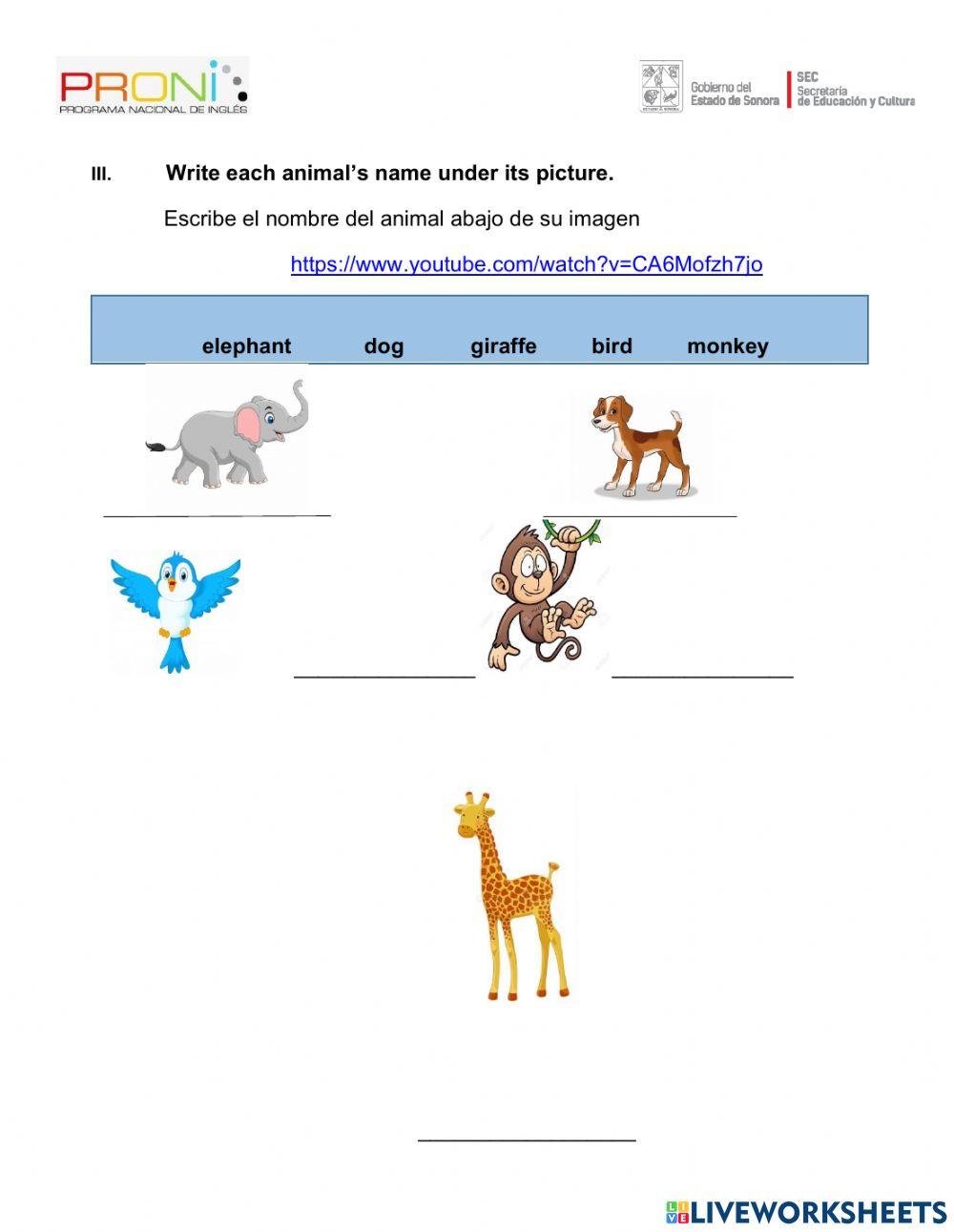 Final exam 2nd GRADE